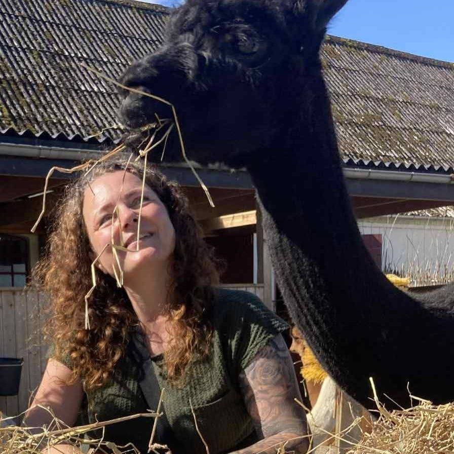 Bonusmor/bonusbedstemor/veninde